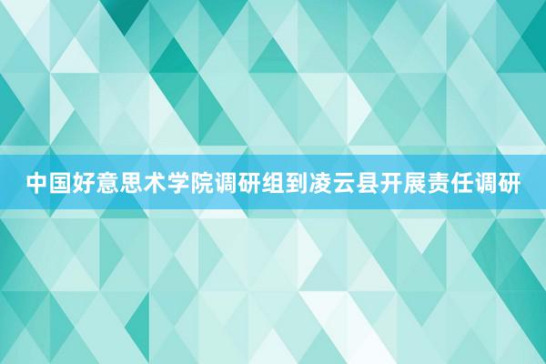 中国好意思术学院调研组到凌云县开展责任调研