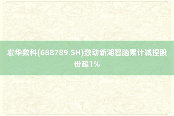 宏华数科(688789.SH)激动新湖智脑累计减捏股份超1%