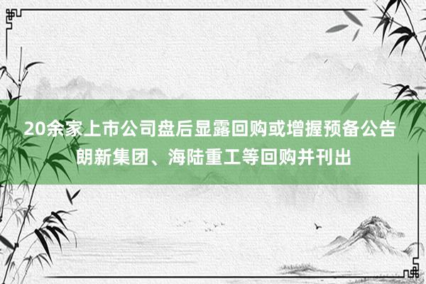 20余家上市公司盘后显露回购或增握预备公告 朗新集团、海陆重工等回购并刊出