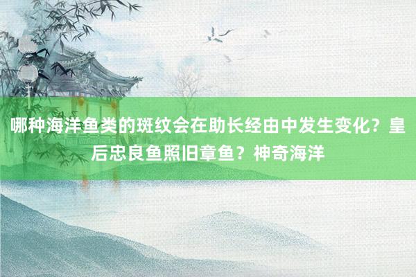 哪种海洋鱼类的斑纹会在助长经由中发生变化？皇后忠良鱼照旧章鱼？神奇海洋