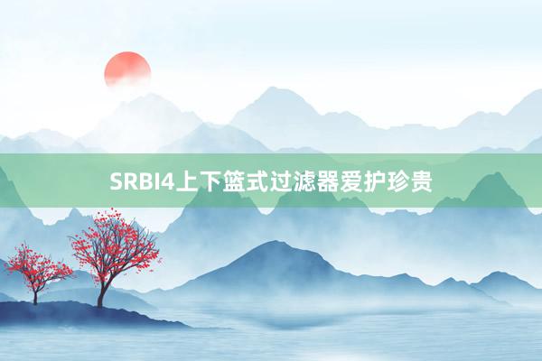 SRBI4上下篮式过滤器爱护珍贵