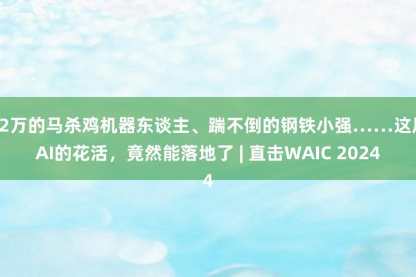 12万的马杀鸡机器东谈主、踹不倒的钢铁小强……这届AI的花活，竟然能落地了 | 直击WAIC 2024