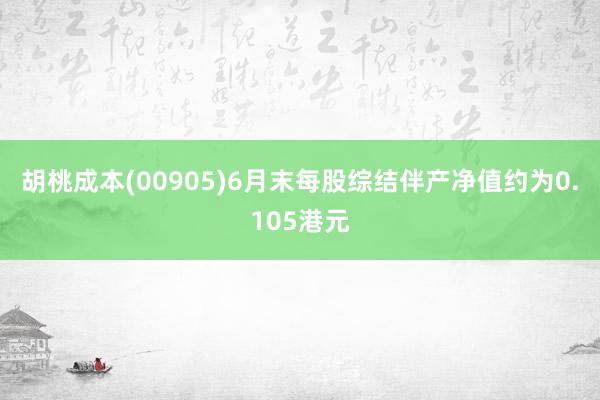 胡桃成本(00905)6月末每股综结伴产净值约为0.105港元