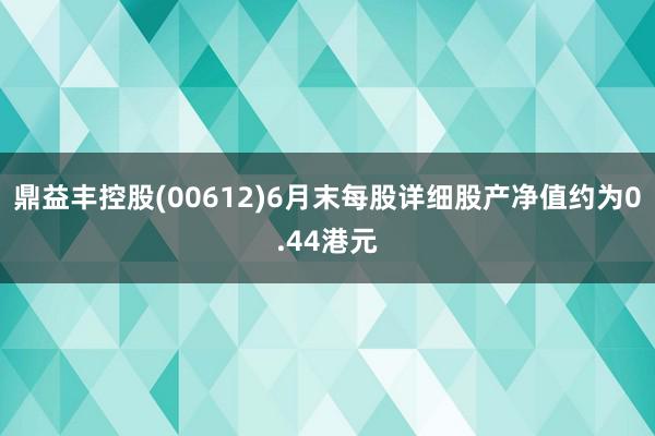 鼎益丰控股(00612)6月末每股详细股产净值约为0.44港元