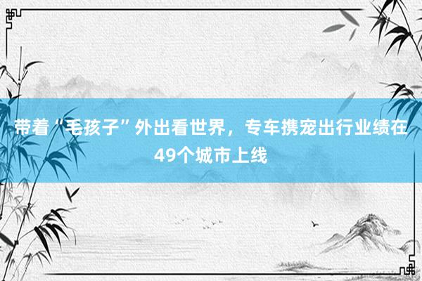 带着“毛孩子”外出看世界，专车携宠出行业绩在49个城市上线