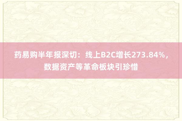 药易购半年报深切：线上B2C增长273.84%，数据资产等革命板块引珍惜