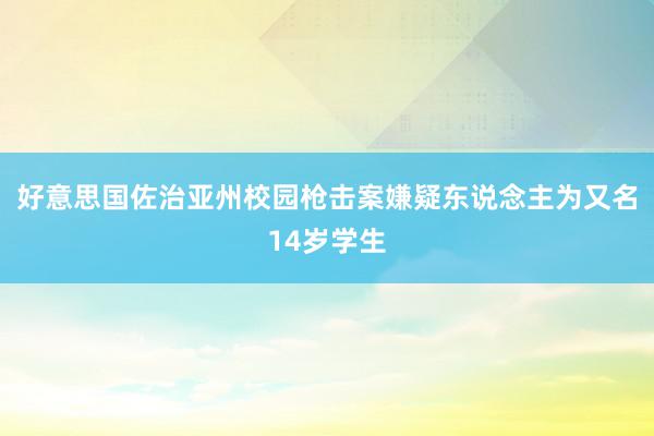 好意思国佐治亚州校园枪击案嫌疑东说念主为又名14岁学生