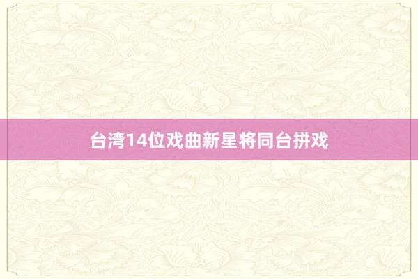 台湾14位戏曲新星将同台拼戏