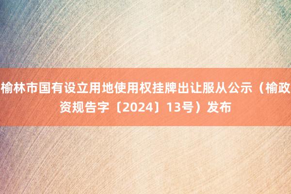 榆林市国有设立用地使用权挂牌出让服从公示（榆政资规告字〔2024〕13号）发布