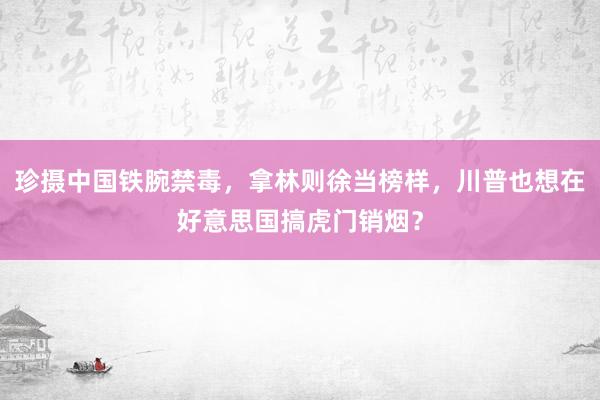 珍摄中国铁腕禁毒，拿林则徐当榜样，川普也想在好意思国搞虎门销烟？